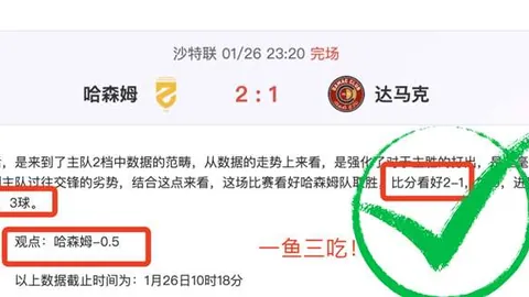 德约与门希克激战七局，非凡胜利来之不易